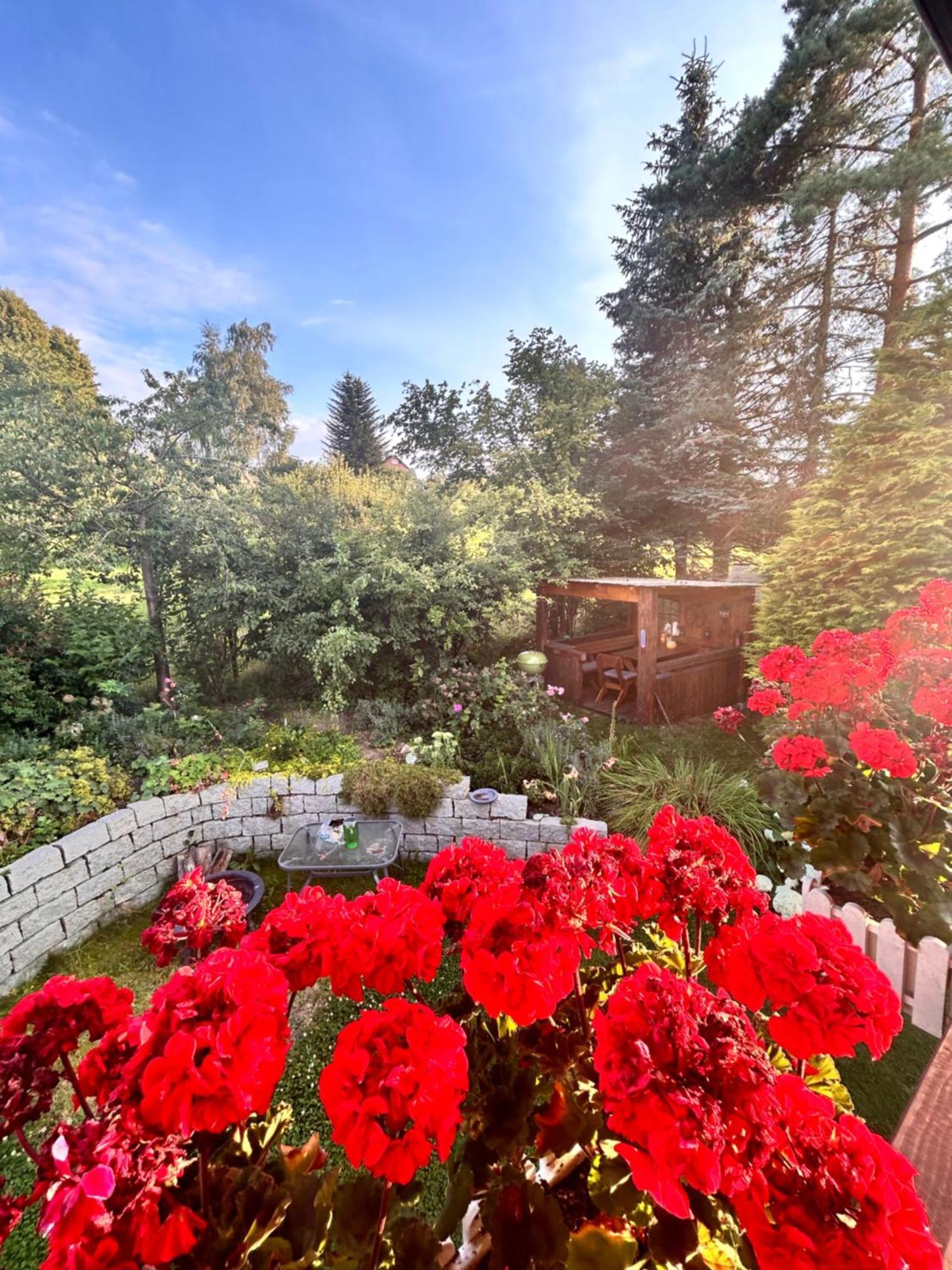 Ferienwohnung Mit Gartennutzung, Garage Und Wallbox Ebersbach-Neugersdorf 외부 사진